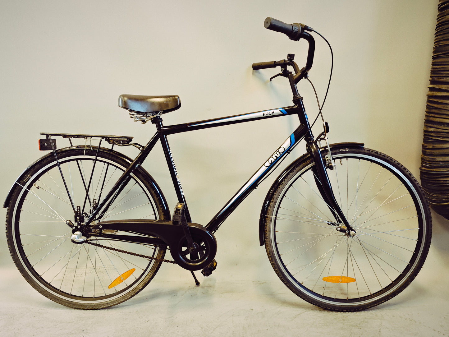 PUCH N Liches