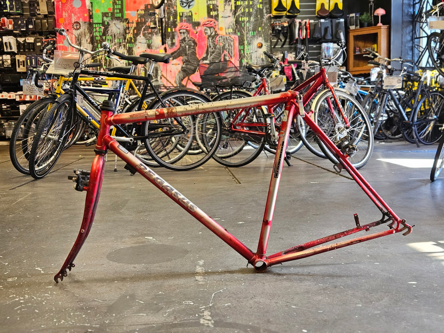 Pegasus frame Kit, stål, 57cm lang, 53cm høj, uden dansk stelnummer